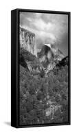 USA, California. View of Half Dome in Yosemite Valley.-Anna Miller-Framed Stretched Canvas