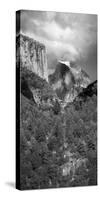 USA, California. View of Half Dome in Yosemite Valley.-Anna Miller-Stretched Canvas