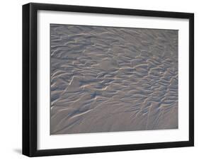 USA, California. Water patterns in wet beach sand.-Anna Miller-Framed Premium Photographic Print