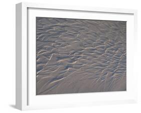 USA, California. Water patterns in wet beach sand.-Anna Miller-Framed Premium Photographic Print