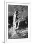 USA, California, White Mountains. Bristlecone pine tree in black and white.-Jaynes Gallery-Framed Photographic Print