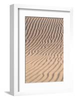 USA, California. Windblown sand dune-Judith Zimmerman-Framed Photographic Print