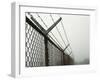 USA, California, Wire Mesh Fence Near Santa Ynez Mountains-Zandria Muench Beraldo-Framed Photographic Print