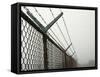 USA, California, Wire Mesh Fence Near Santa Ynez Mountains-Zandria Muench Beraldo-Framed Stretched Canvas