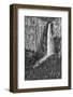 USA, California, Yosemite, Bridal Veil Falls-John Ford-Framed Photographic Print