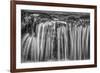 USA, California, Yosemite, Fern Spring-John Ford-Framed Photographic Print