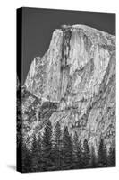 USA, California, Yosemite, Half Dome-John Ford-Stretched Canvas