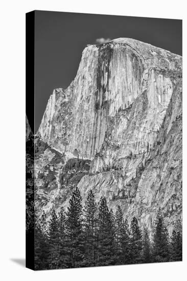 USA, California, Yosemite, Half Dome-John Ford-Stretched Canvas