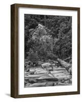 USA, California, Yosemite, Happy Isles-John Ford-Framed Photographic Print