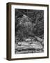 USA, California, Yosemite, Happy Isles-John Ford-Framed Photographic Print