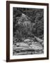 USA, California, Yosemite, Happy Isles-John Ford-Framed Photographic Print