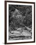 USA, California, Yosemite, Happy Isles-John Ford-Framed Photographic Print