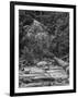 USA, California, Yosemite, Happy Isles-John Ford-Framed Photographic Print