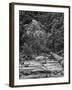 USA, California, Yosemite, Happy Isles-John Ford-Framed Photographic Print