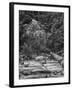 USA, California, Yosemite, Happy Isles-John Ford-Framed Photographic Print