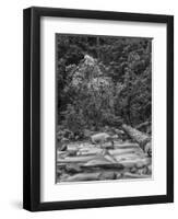 USA, California, Yosemite, Happy Isles-John Ford-Framed Premium Photographic Print