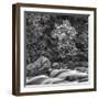 USA, California, Yosemite, Happy Isles-John Ford-Framed Photographic Print