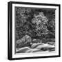 USA, California, Yosemite, Happy Isles-John Ford-Framed Photographic Print