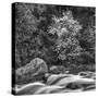 USA, California, Yosemite, Happy Isles-John Ford-Stretched Canvas