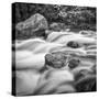 USA, California, Yosemite, Happy Isles-John Ford-Stretched Canvas