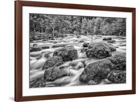 USA, California, Yosemite, Happy Isles-John Ford-Framed Photographic Print