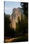 USA, California, Yosemite National Park, El Capitan-Bernard Friel-Stretched Canvas