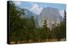USA, California, Yosemite National Park, El Capitan-Bernard Friel-Stretched Canvas