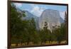 USA, California, Yosemite National Park, El Capitan-Bernard Friel-Framed Photographic Print