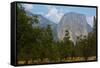 USA, California, Yosemite National Park, El Capitan-Bernard Friel-Framed Stretched Canvas