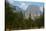 USA, California, Yosemite National Park, El Capitan-Bernard Friel-Stretched Canvas