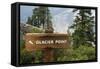 USA, California, Yosemite National Park, Glacier Point Directional Sign-Bernard Friel-Framed Stretched Canvas