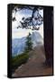 USA, California, Yosemite National Park, Half Dome, Glacier Point-Bernard Friel-Framed Stretched Canvas