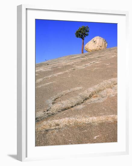 USA, California, Yosemite National Park, Pine tree and rock-Theo Allofs-Framed Photographic Print