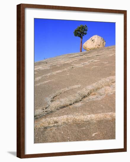 USA, California, Yosemite National Park, Pine tree and rock-Theo Allofs-Framed Photographic Print