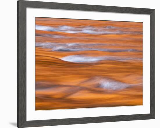 USA, California, Yosemite National Park, Sunset reflection in the Merced River-Ann Collins-Framed Photographic Print