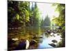 USA, California, Yosemite National Park. the Merced River-Jaynes Gallery-Mounted Photographic Print