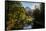 USA California. Yosemite National Park, Yosemite Valley over Merced River.-Alison Jones-Framed Stretched Canvas