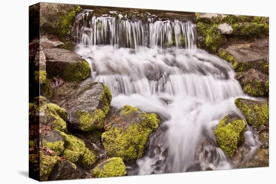 USA, California, Yosemite, Small Falls-John Ford-Stretched Canvas