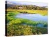 USA, California, Yosemite the Tuolumne River in Tuolumne Meadows-Jaynes Gallery-Stretched Canvas