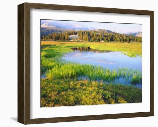 USA, California, Yosemite the Tuolumne River in Tuolumne Meadows-Jaynes Gallery-Framed Premium Photographic Print