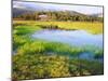 USA, California, Yosemite the Tuolumne River in Tuolumne Meadows-Jaynes Gallery-Mounted Premium Photographic Print