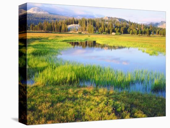 USA, California, Yosemite the Tuolumne River in Tuolumne Meadows-Jaynes Gallery-Stretched Canvas
