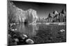 USA, California. Yosemite Valley view from the bank of Merced river.-Anna Miller-Mounted Photographic Print