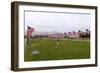 USA, Cemetery, Memorial-Day, Flags-Catharina Lux-Framed Photographic Print