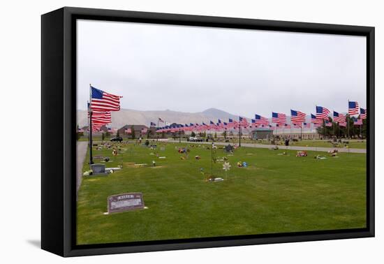 USA, Cemetery, Memorial-Day, Flags-Catharina Lux-Framed Stretched Canvas