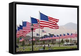 USA, Cemetery, Memorial-Day, Flags-Catharina Lux-Framed Stretched Canvas