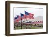 USA, Cemetery, Memorial-Day, Flags-Catharina Lux-Framed Photographic Print