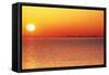 Usa,Chicago,Lake Michigan,Orange Sunset,City Skyline in Distance-Frank Cezus-Framed Stretched Canvas