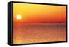 Usa,Chicago,Lake Michigan,Orange Sunset,City Skyline in Distance-Frank Cezus-Framed Stretched Canvas