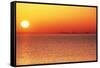 Usa,Chicago,Lake Michigan,Orange Sunset,City Skyline in Distance-Frank Cezus-Framed Stretched Canvas